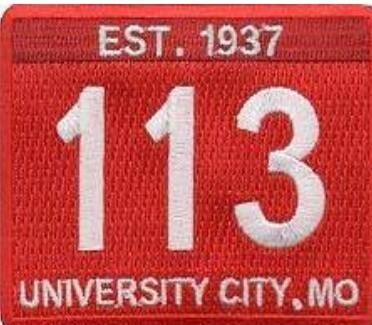 The shoulder logo for Pack 113.